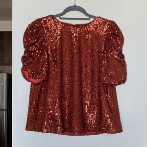 Anthropologie "Marie Sequined Blouse"